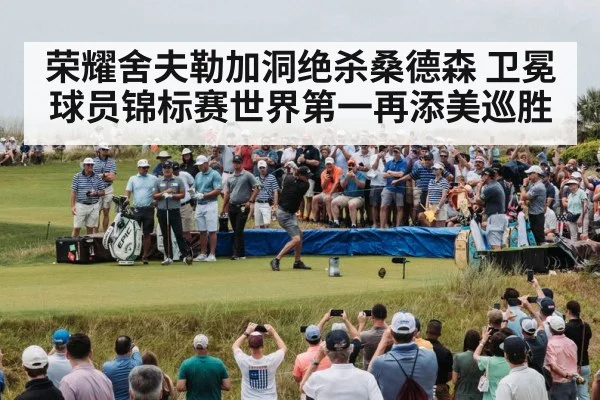 荣耀舍夫勒加洞绝杀桑德森 卫冕球员锦标赛世界第一再添美巡胜