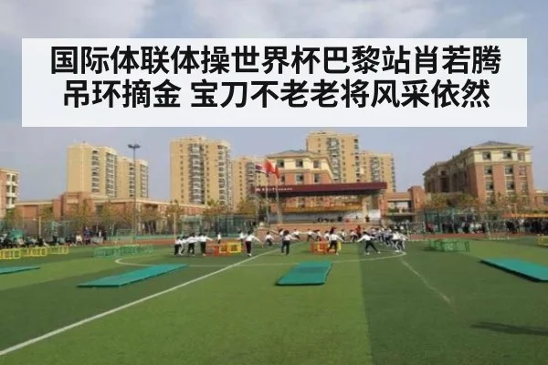 国际体联体操世界杯巴黎站肖若腾吊环摘金 宝刀不老老将风采依然
